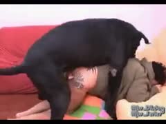 Big titty butch chick has joy with her dark pooch